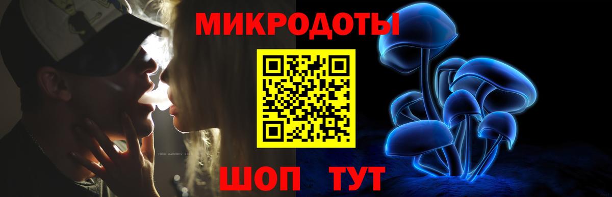 Галлюциногенные грибы Psilocybe Донской